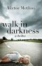 [Jon Stanton Thrillers 02] • Walk in Darkness - a Thriller (Jon Stanton Mysteries)